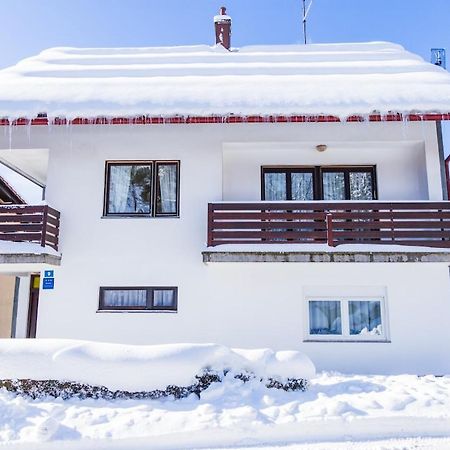 Apartman Japlenski Delnice Ngoại thất bức ảnh