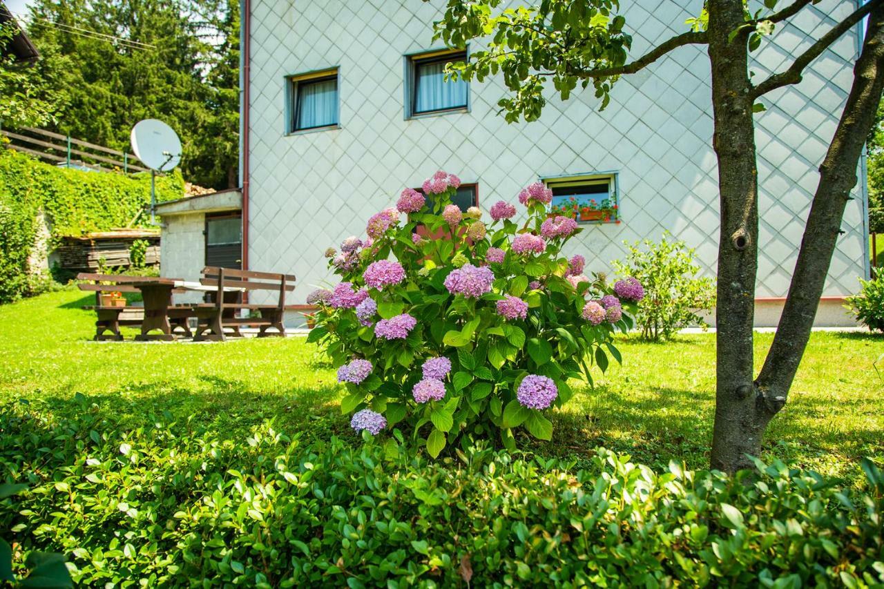 Apartman Japlenski Delnice Ngoại thất bức ảnh